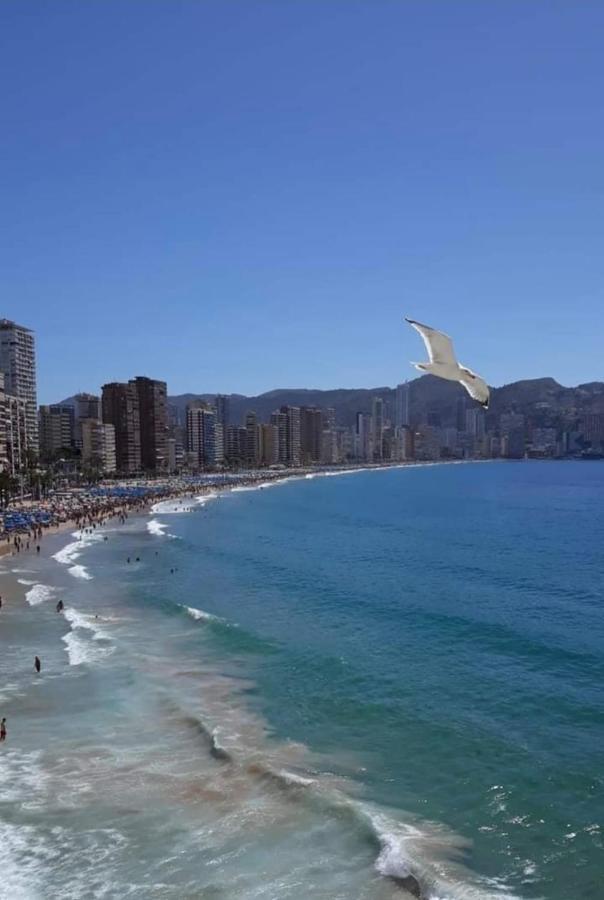 San Remo Levante Beach Apartments Benidorm Exteriér fotografie